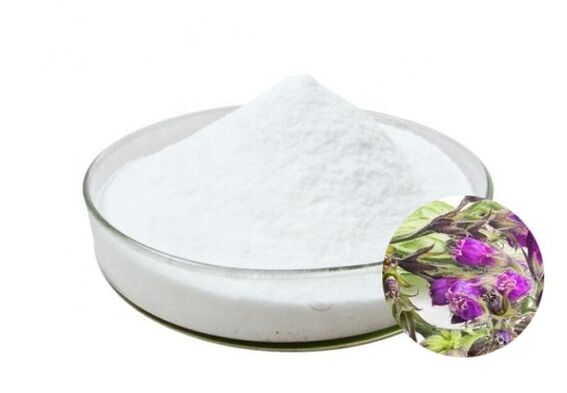 Hondrox contiene alantoína